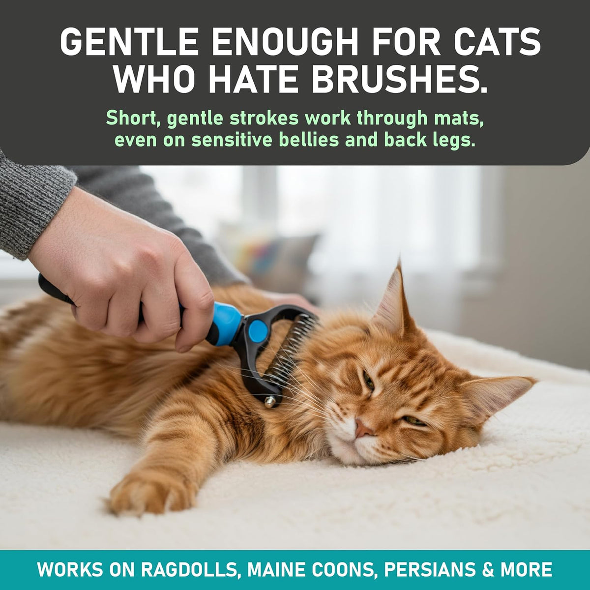🐕2-in-1 Deshedding & Dematting Pet Brush